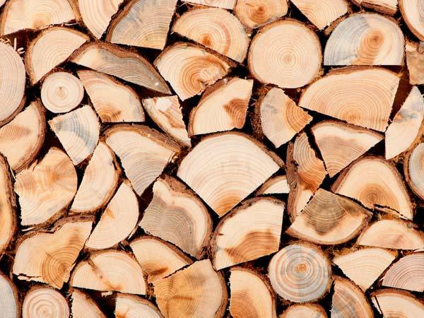 Bando pubblico di disponibilità legna da ardere